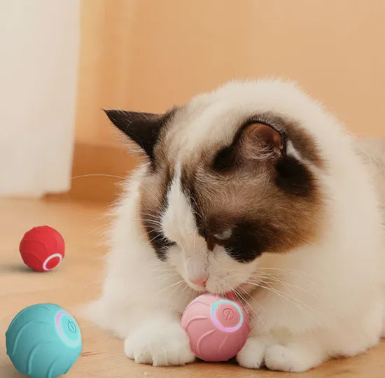 Balle interactive pour chiens et chats - Lumière flash - PLEZANIMO