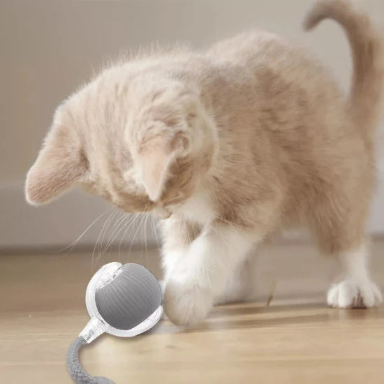 Jouet balle à corde interactive pour chat, balle automatique - PLEZANIMO