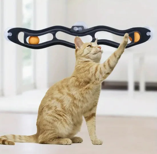 Circuit à balles pour chat - fixation adhésive - Jouet Interactif pour chat - PLEZANIMO