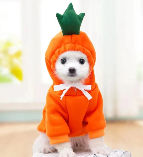 Pull à capuche mignon pour chiens – Confort et style fun pour hiver et fêtes - PLEZANIMO